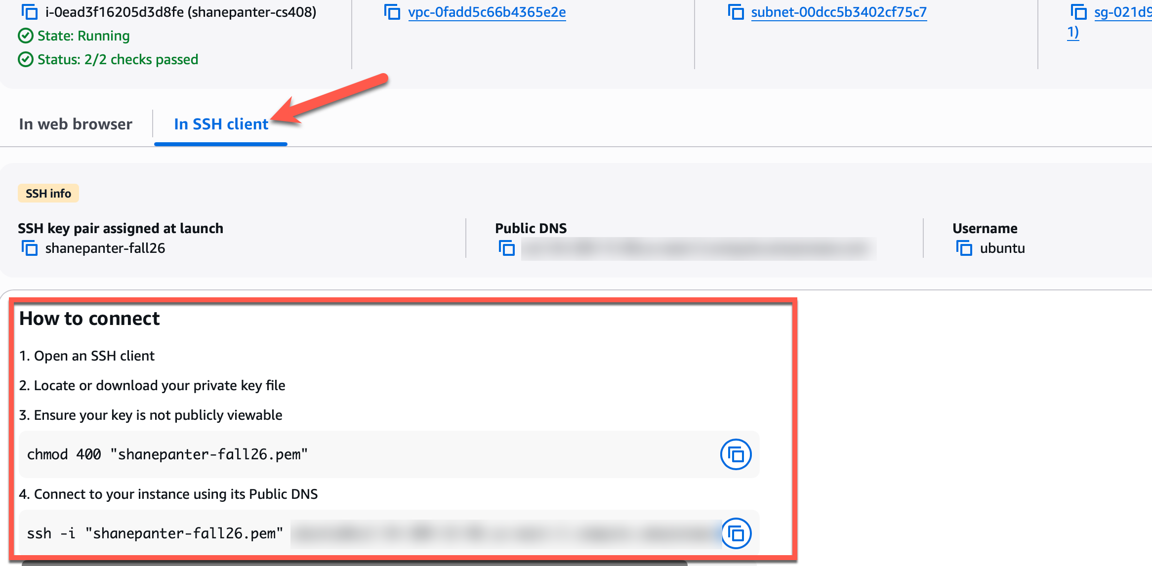 in ssh client tab with the chmod and ssh commands