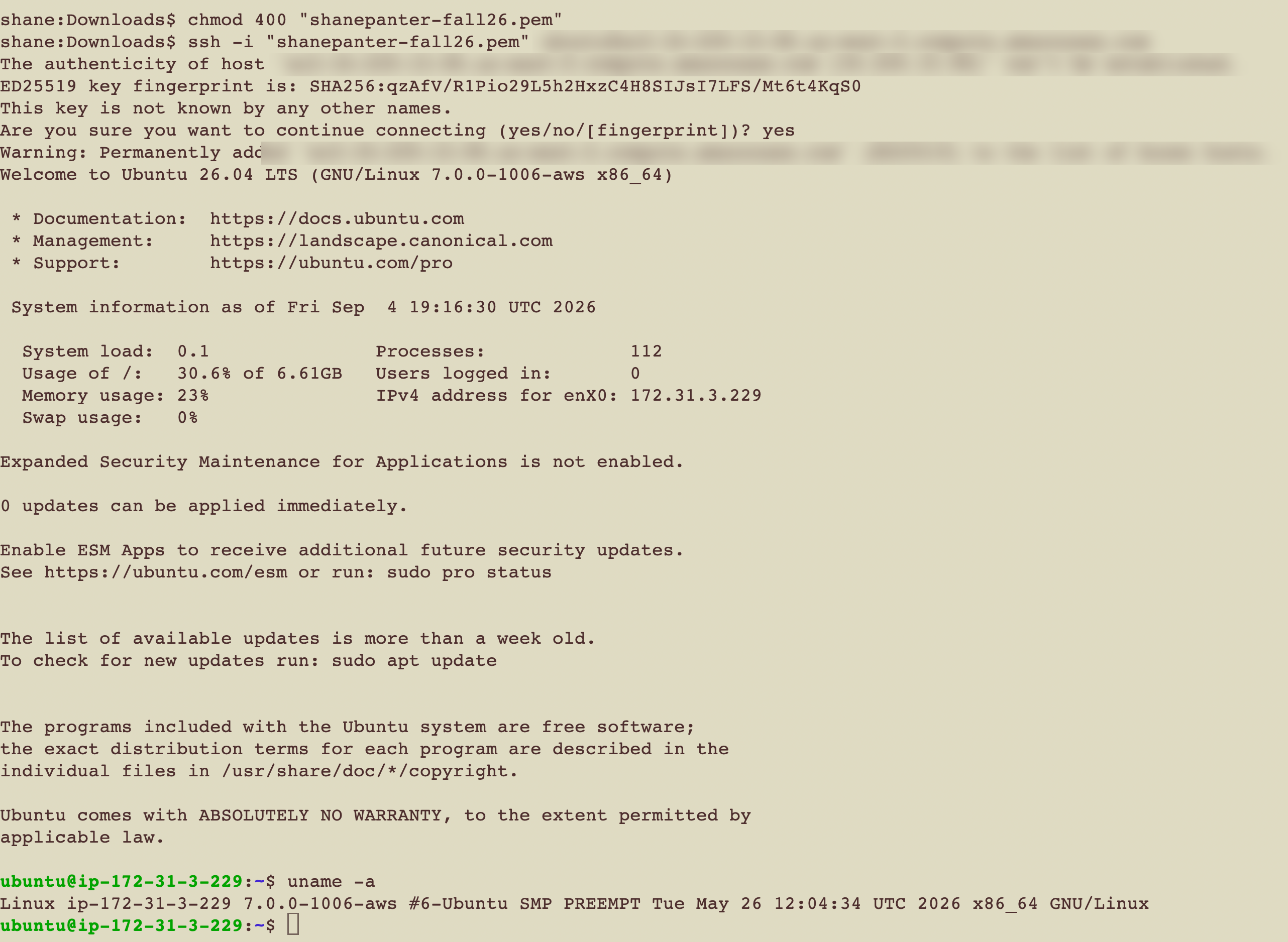 terminal showing the ubuntu@ip prompt and uname -a output