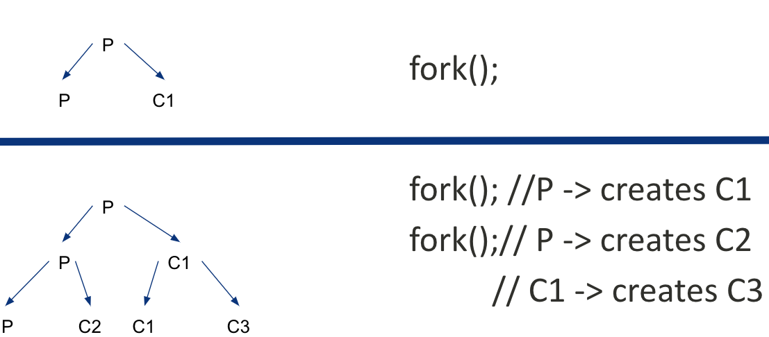 process hierarchy