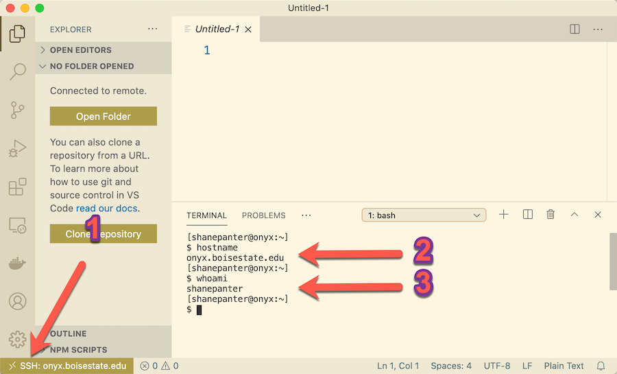 VSCode connected